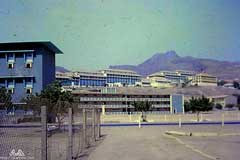 ���� ������ ��� ��� ����